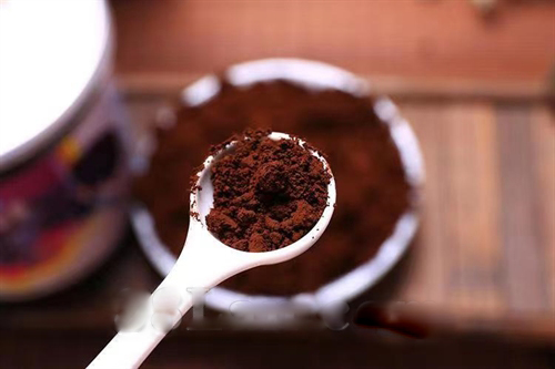 藍(lán)帽破壁靈芝孢子粉